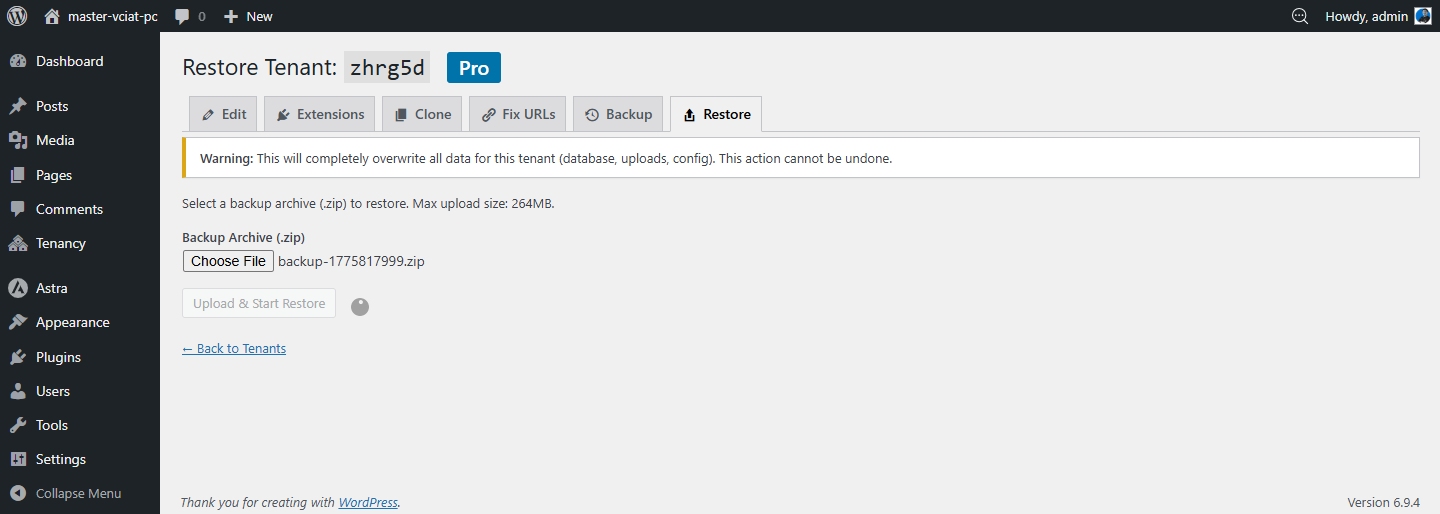 Restore — upload backup ZIP